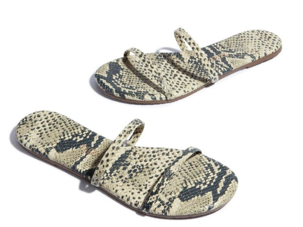 Gemma Exotic - Sandsnake