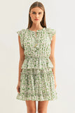 Betty Ruffled Mini Dress