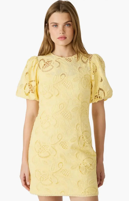 Lorena Lace Ruffled Shift Dress  Canvas