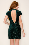 Holly Sequin Dress