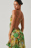 Aneira Dress - Green Multi