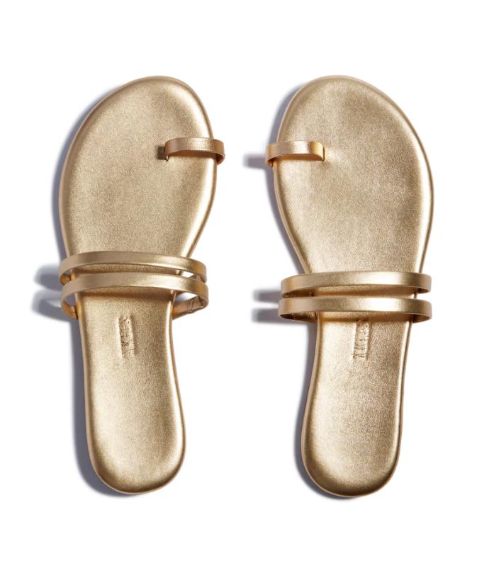 Blink Tkees Gold Leah Blink – Canvas